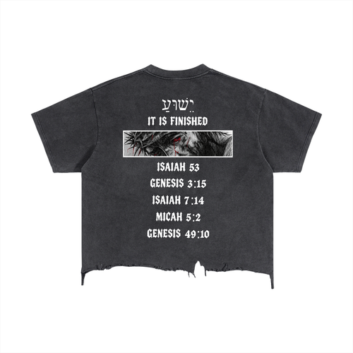 All of a Sudden // It Is Finished // Distressed Mineral Wash Tee